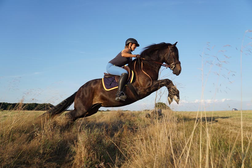 Eine Reiterin auf einem schwarzen Pferd, das über ein Feld springt, während die Sonne scheint.