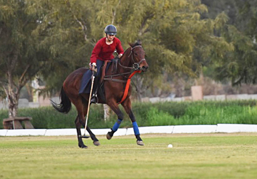 Reiter in rotem Oberteil und Helm auf einem braunen Pferd während eines Polo-Spiels auf dem Feld.