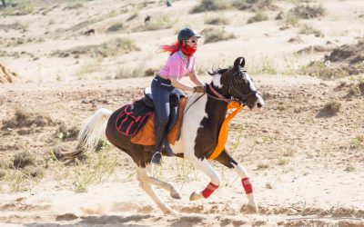 Fremde Pferde reiten