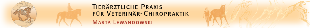 Tierärztliche Praxis für Veterinär-Chiropraktik Marta Lewandowski